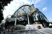 ION Orchard — project photo 3
